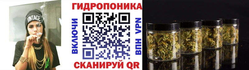 Шишки марихуана планчик  Ветлуга 